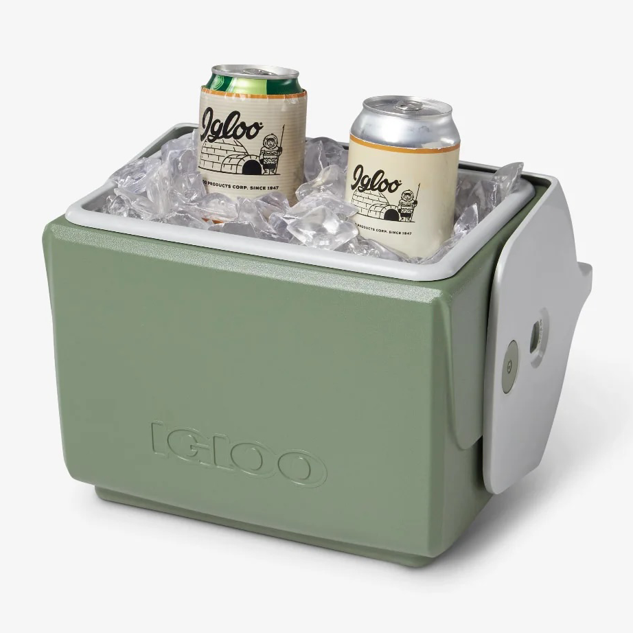 Igloo Mini Cooler, provided by NCIRE